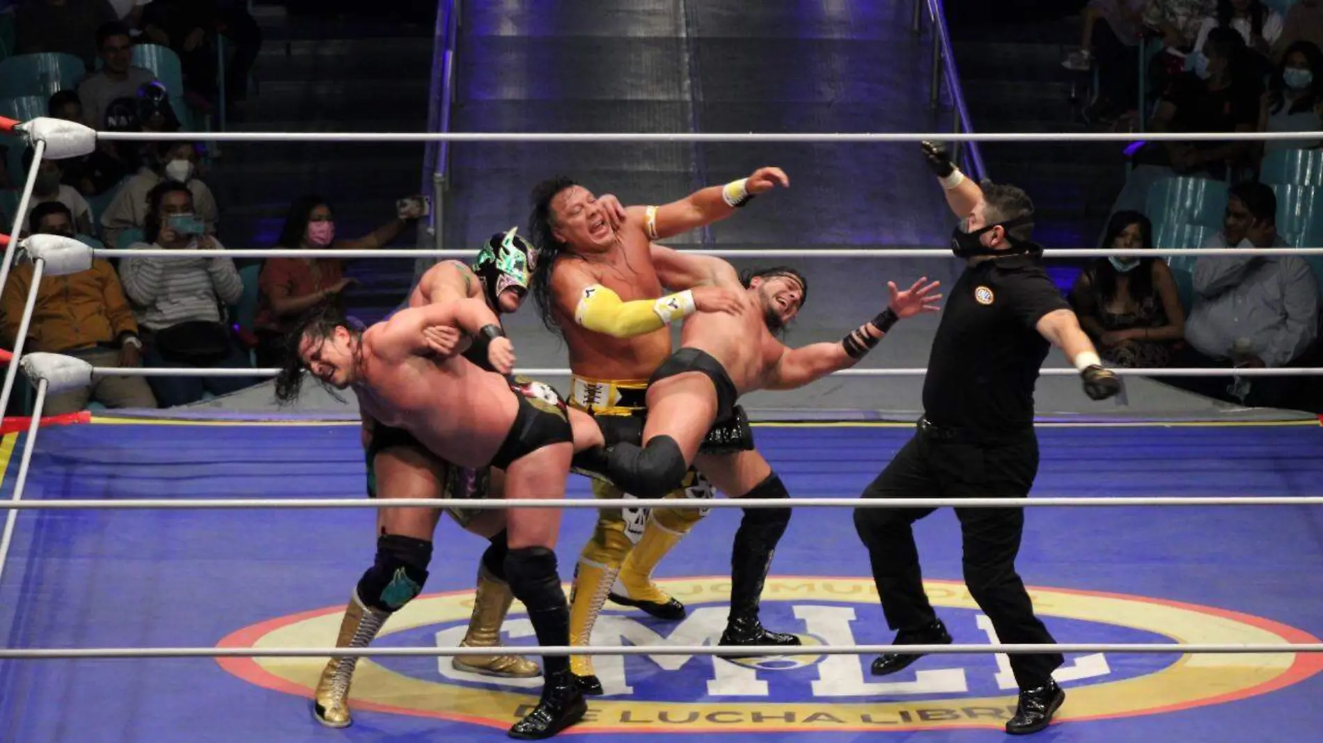 Lucha Libre De Ingobernables a tiernos inofensivos